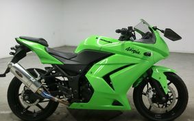 KAWASAKI NINJA 250R 2008 EX250K