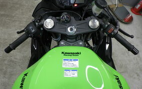 KAWASAKI NINJA ZX-6R A 2019 ZX636G