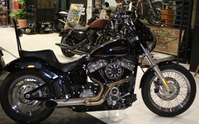 HARLEY FXST 2021 BVJ