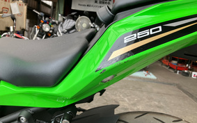 KAWASAKI NINJA ZX 25 R SE ZX250E