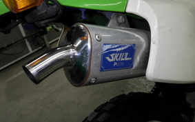 KAWASAKI KDX220SR DX220B