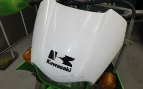 KAWASAKI KLX250 LX250E