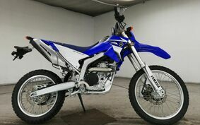 YAMAHA WR250R DG15J