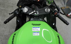 KAWASAKI NINJA ZX-6R A 2019 ZX636G