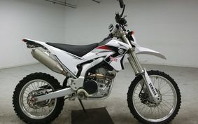 YAMAHA WR250R 2009 DG15J