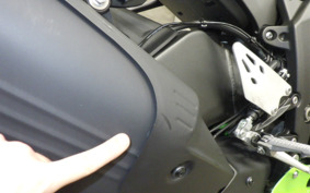 KAWASAKI NINJA ZX-6R A 2024 ZX636J