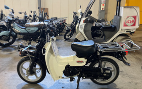 SUZUKI BIRDIE 50 BA43A