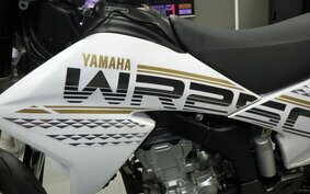 YAMAHA WR250X DG15J