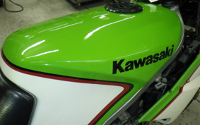 KAWASAKI KR250 KR250A