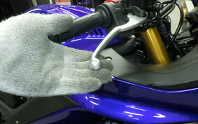 YAMAHA YZF-R3 2019 RH13J