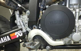 YAMAHA WR250X DG15J