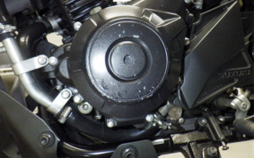 SUZUKI V-STROM 250