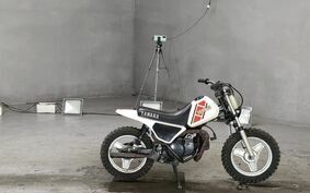 YAMAHA PW50 4X4