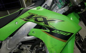 KAWASAKI KX250 KX252C