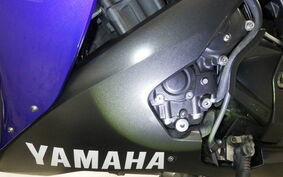 YAMAHA YZF-R1 2006 RN15