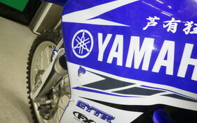 YAMAHA WR250R DG15J