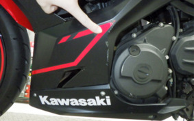 KAWASAKI NINJA 250 EX250P