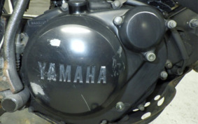 YAMAHA TW225 DG09J