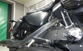 HARLEY XL883N 2021