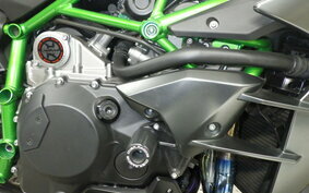 KAWASAKI NINJA H2 CARBON 2021 ZXT02J