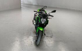 KAWASAKI Z250 SL BR250E