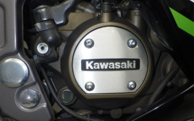 KAWASAKI NINJA150RR