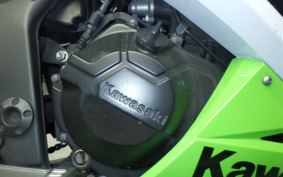 KAWASAKI NINJA 250 EX250L