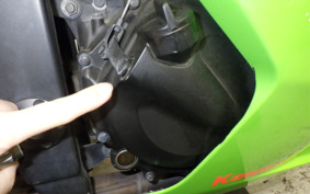 KAWASAKI NINJA 250R EX250K