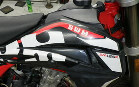 OTHER SWM SM125R