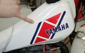 YAMAHA TY250 53Y