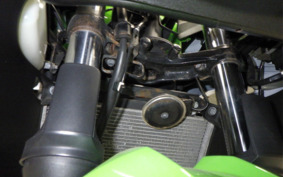 KAWASAKI NINJA 250 ABS EX250L