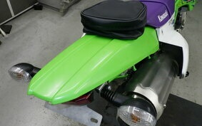 KAWASAKI KLX250 Gen.2 LX250S