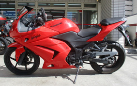 KAWASAKI NINJA 250R EX250K