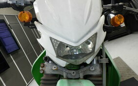 KAWASAKI KDX250SR DX250F