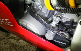 DUCATI 1199 PANIGALE R 2015