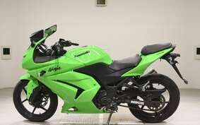 KAWASAKI NINJA 250R EX250K