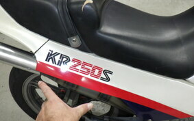 KAWASAKI KR250S KR250A