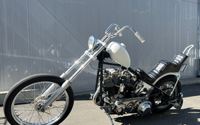 HARLEY FL 2023