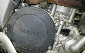 YAMAHA WR250X DG15J