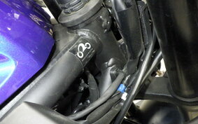 YAMAHA YZF-R3 2023 RH21J