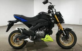 KAWASAKI Z125 PRO BR125H