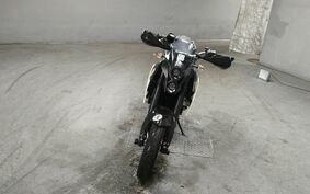 KTM 690 DUKE R 2010 LDU