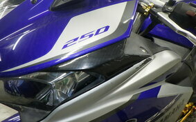 YAMAHA YZF-R25 RG10J