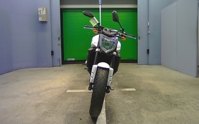 YAMAHA FZ FAZER 2008 RN21J