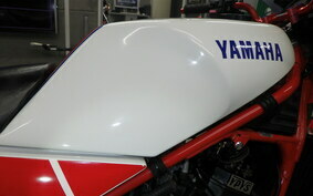 YAMAHA RZ250RR 29L