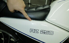 YAMAHA RZ 250 4L3