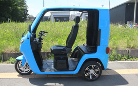 OTHER EV TUKTUK