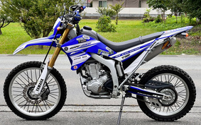 YAMAHA WR250R DG15J