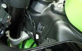 KAWASAKI NINJA ZX-6R A 2021 ZX636G