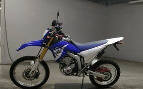 YAMAHA WR250R DG15J